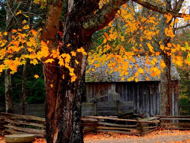 埃弗顿主帅调整战术体系